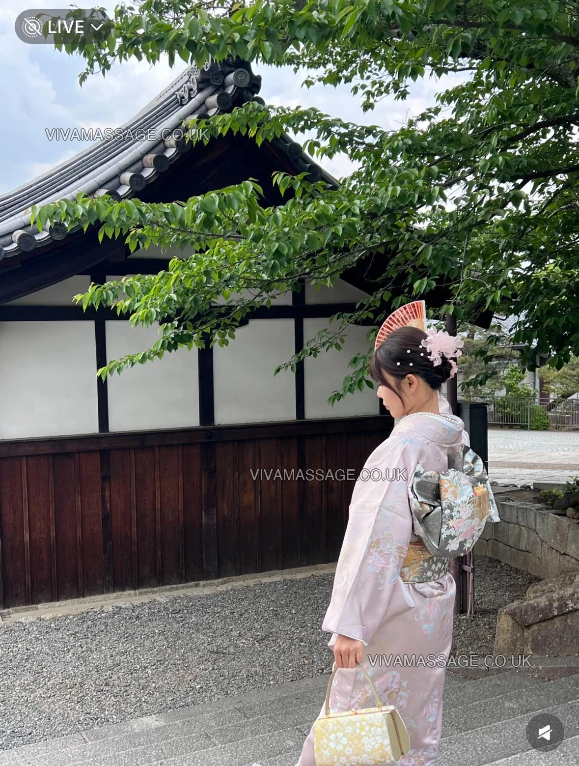 Photo 3 of stunning sakura