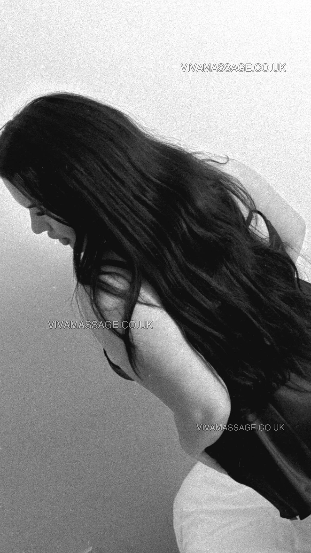 Photo 4 of English-Madison-Fox