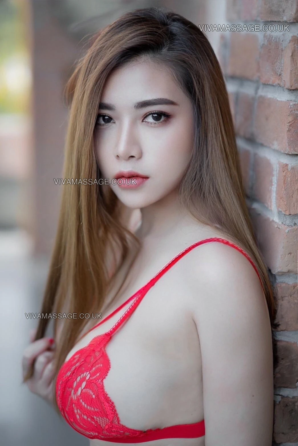 Photo 1 of Coco—Coco