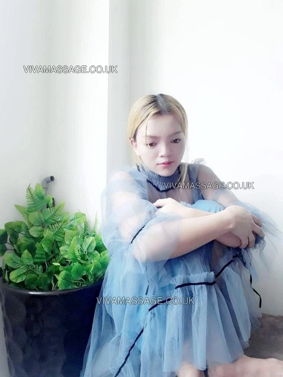 Photo 4 of Hot Thai Alisa