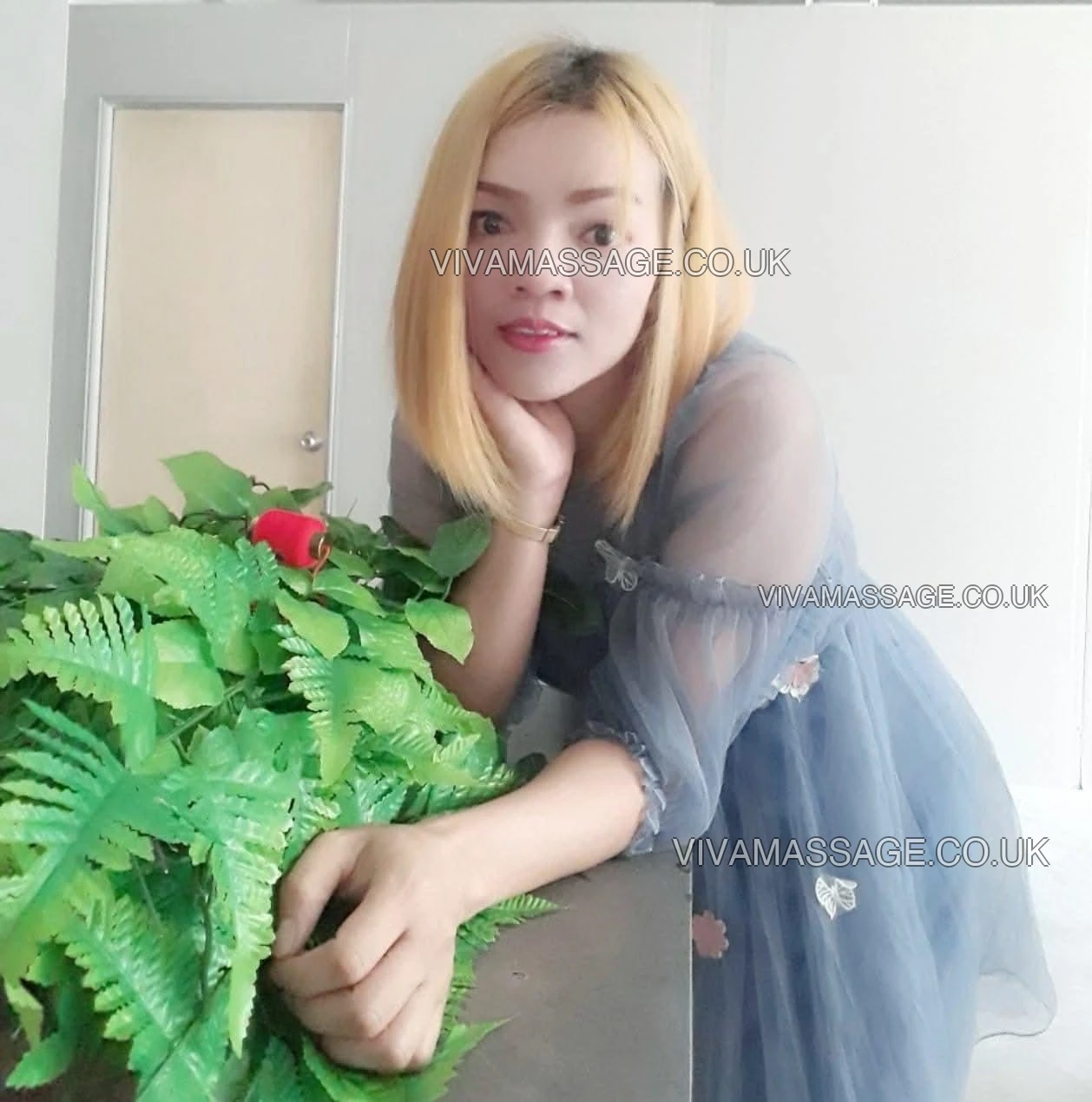 Photo 9 of Hot Thai Alisa