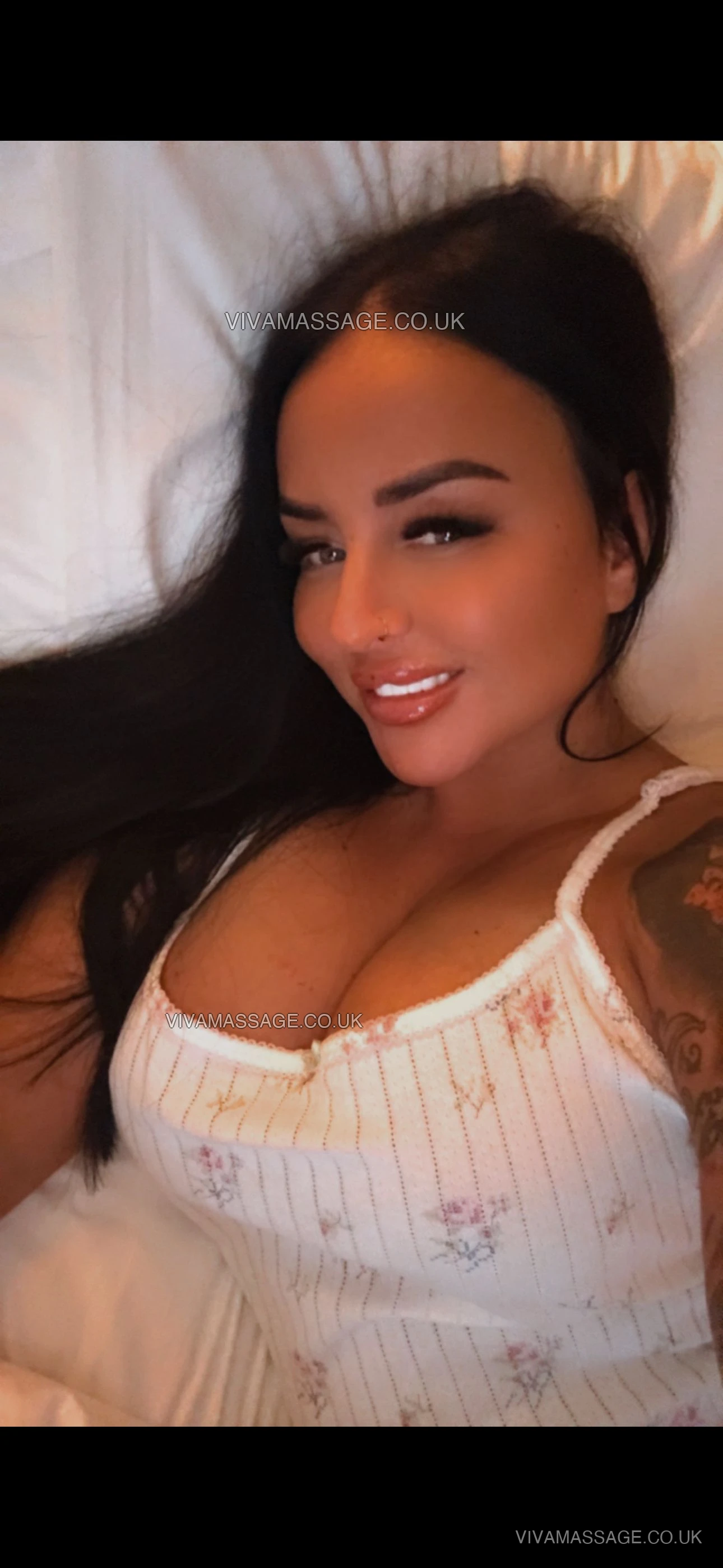 Photo 1 of british_chelsey_