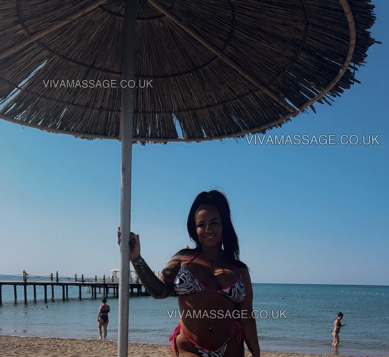 Photo 7 of british_chelsey_