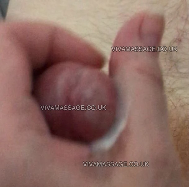 Photo 45 of English Tiffany