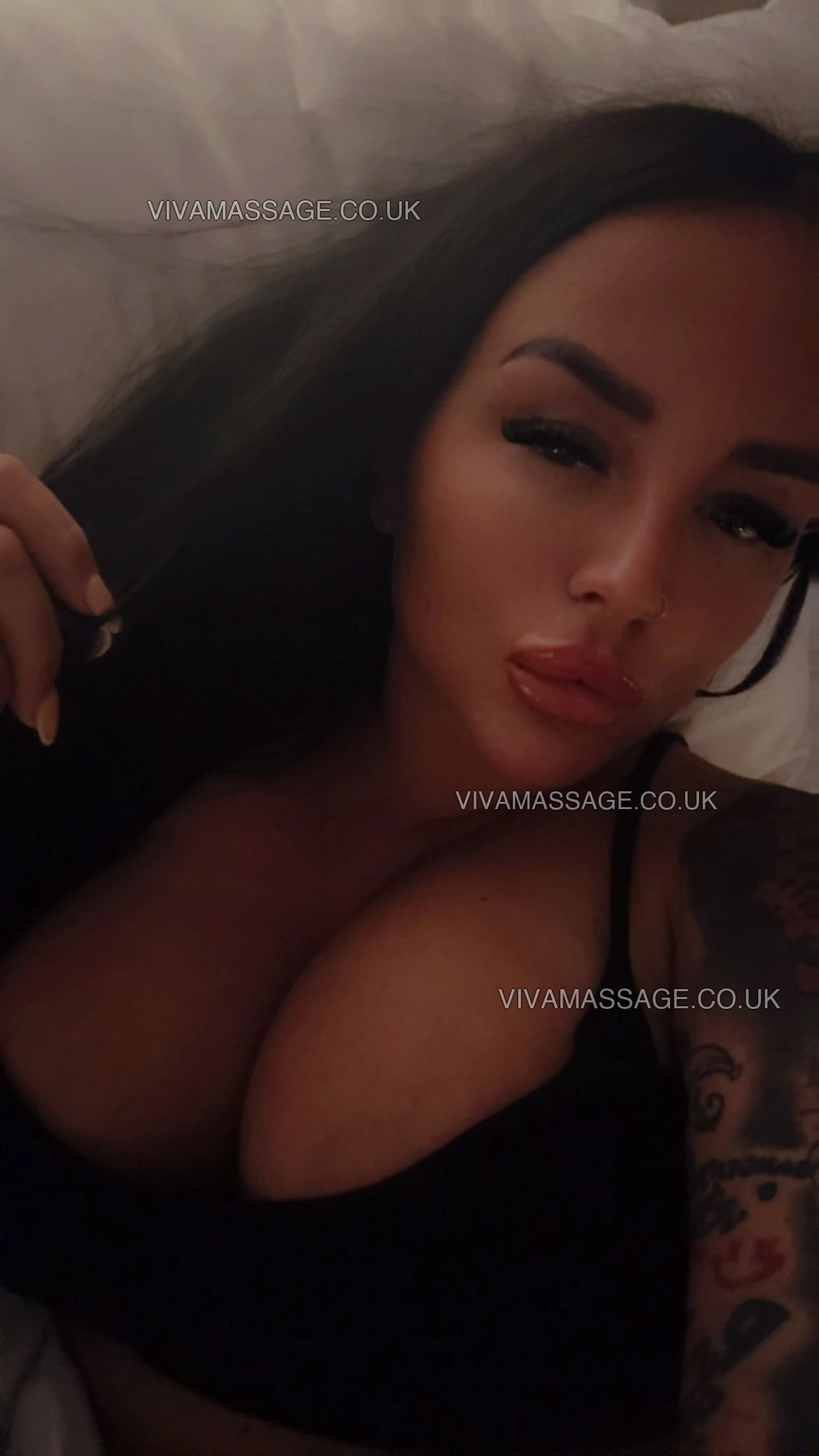 Photo 35 of british_chelsey_