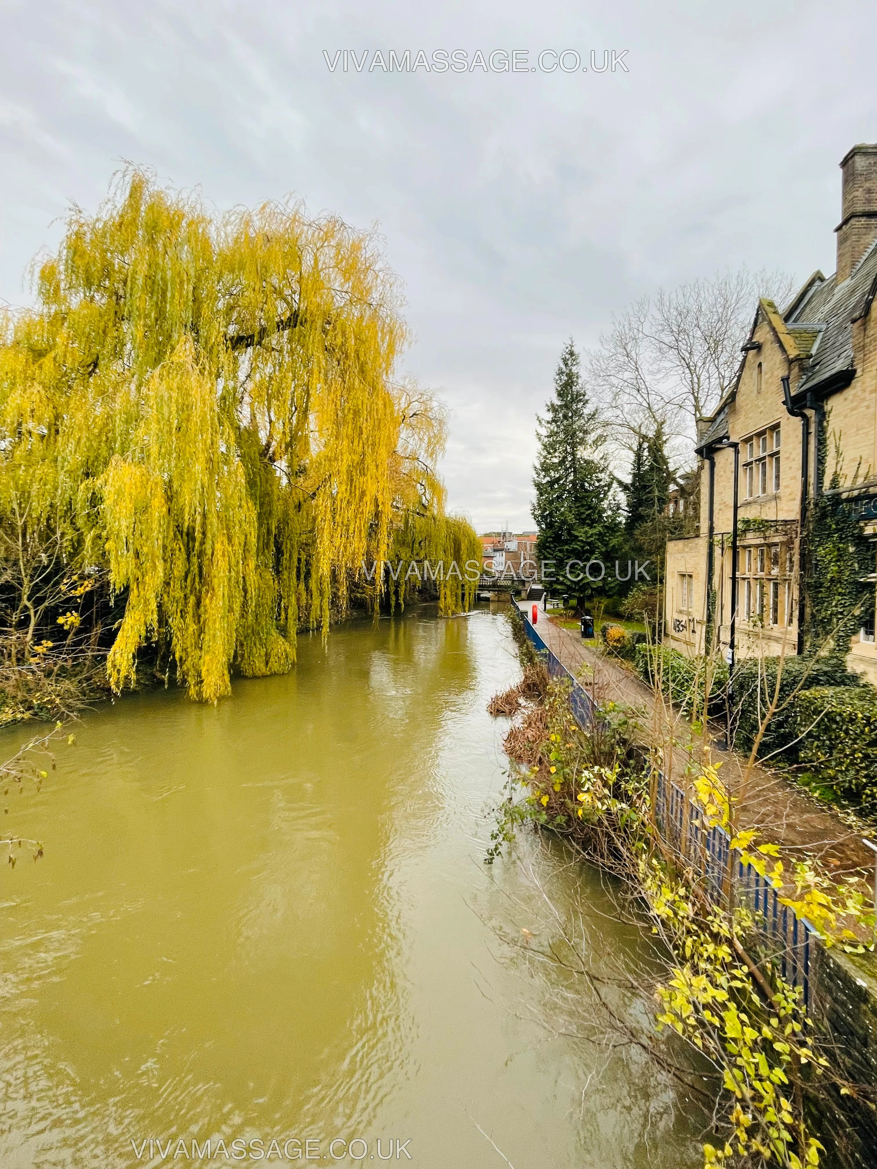 Photo 7 of MASSAGES LILLY