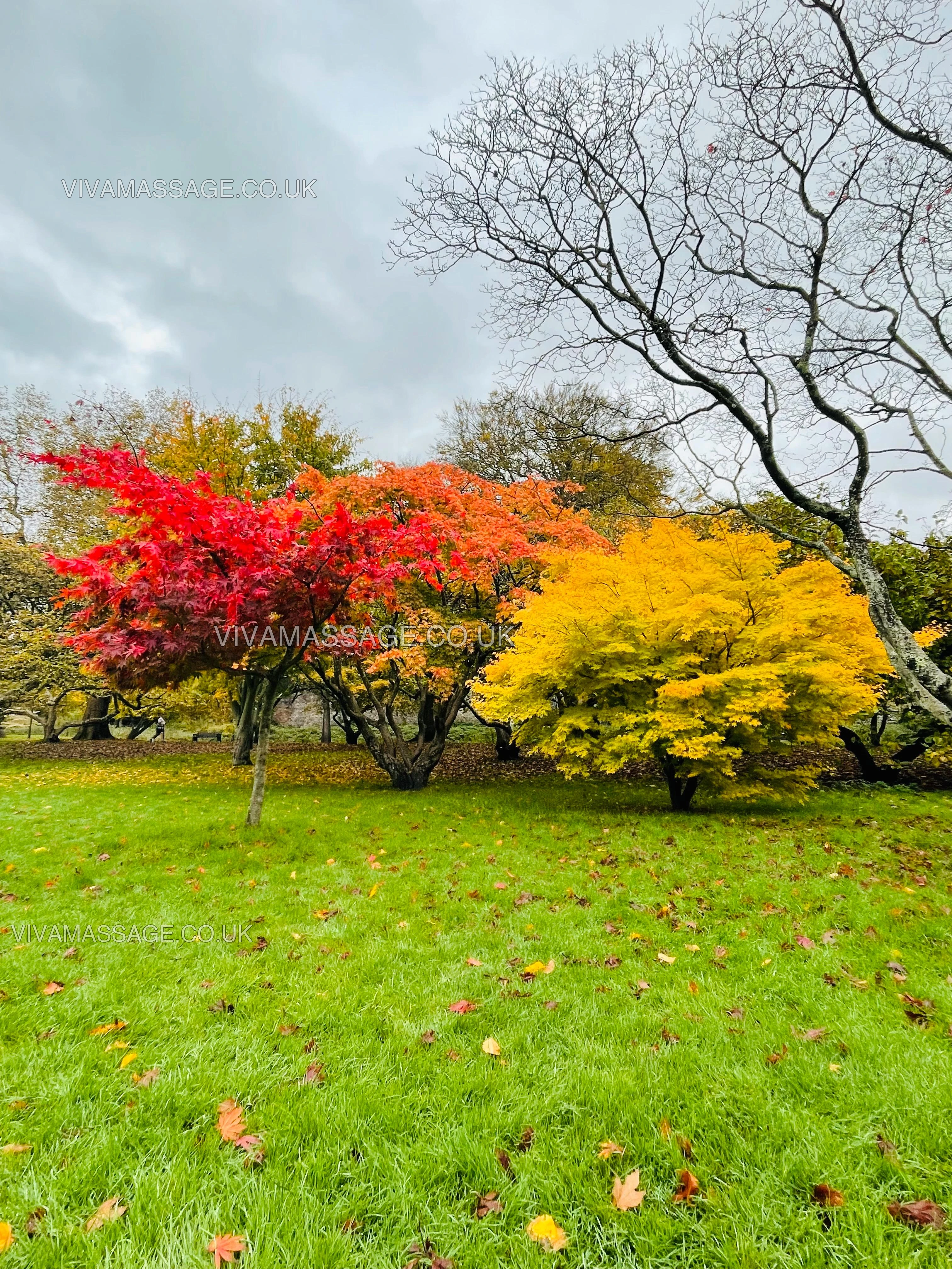 Photo 14 of MASSAGES LILLY