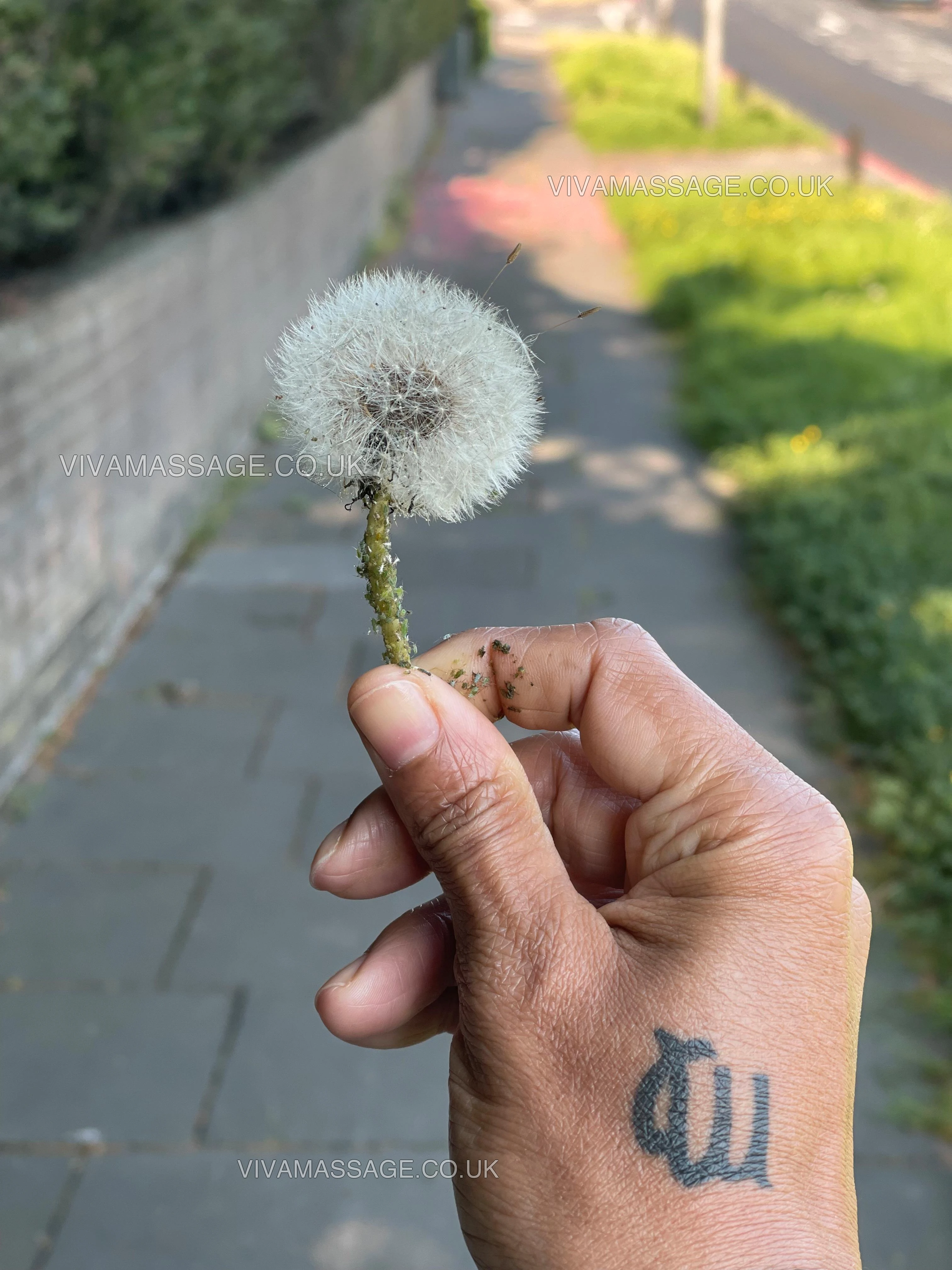 Photo 13 of MASSAGES LILLY