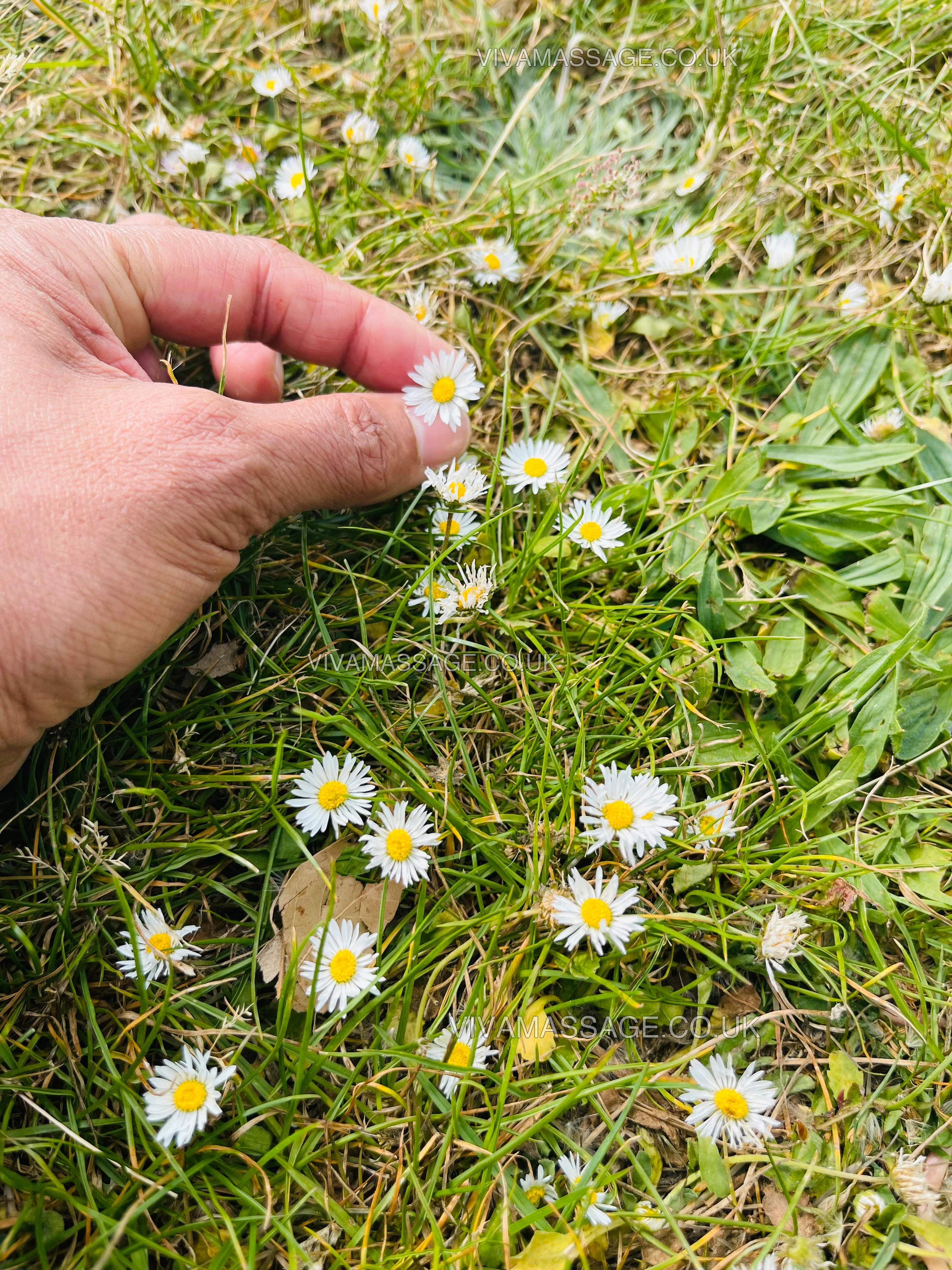 Photo 17 of MASSAGES LILLY