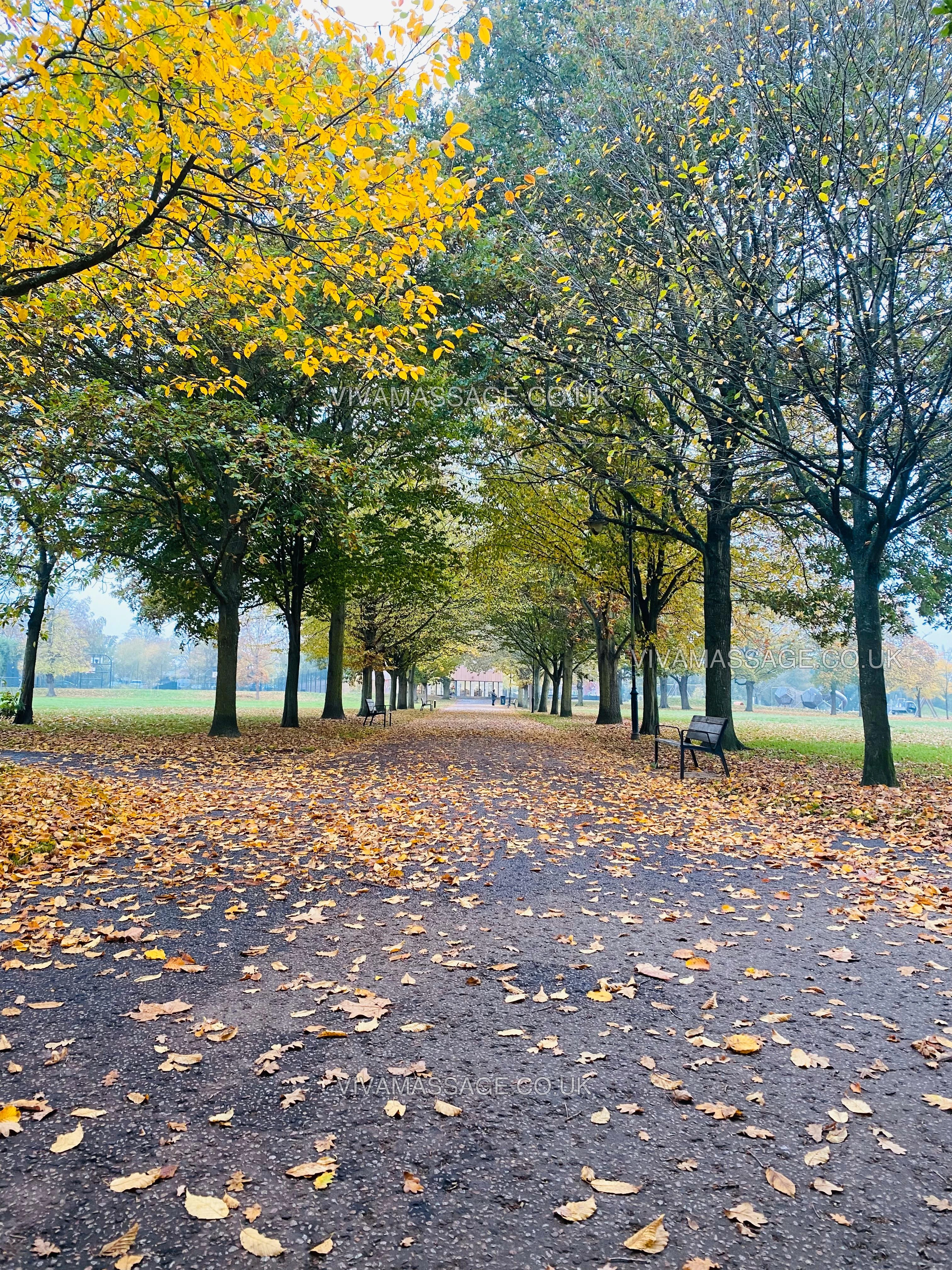 Photo 43 of MASSAGES LILLY