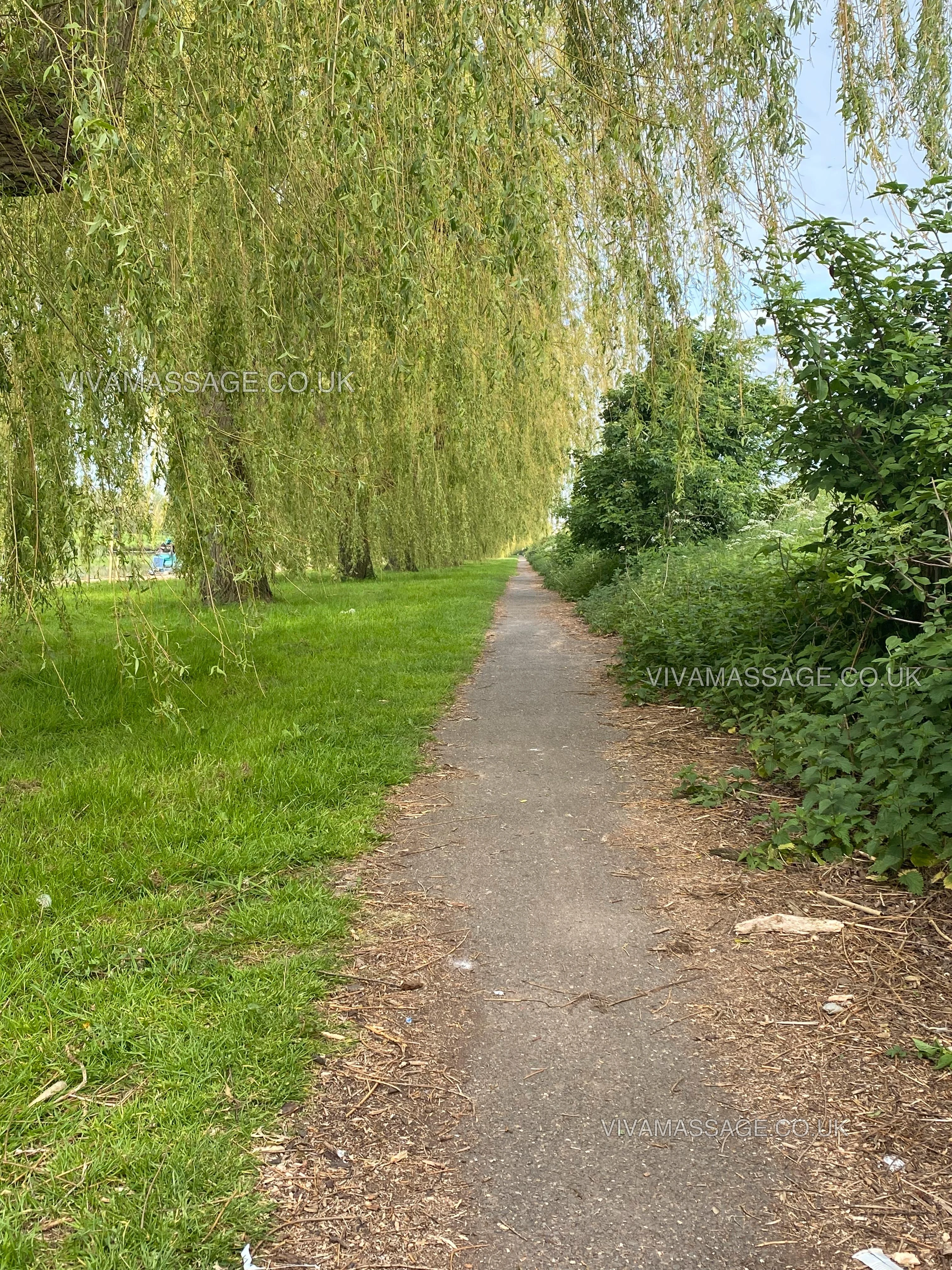 Photo 58 of MASSAGES LILLY