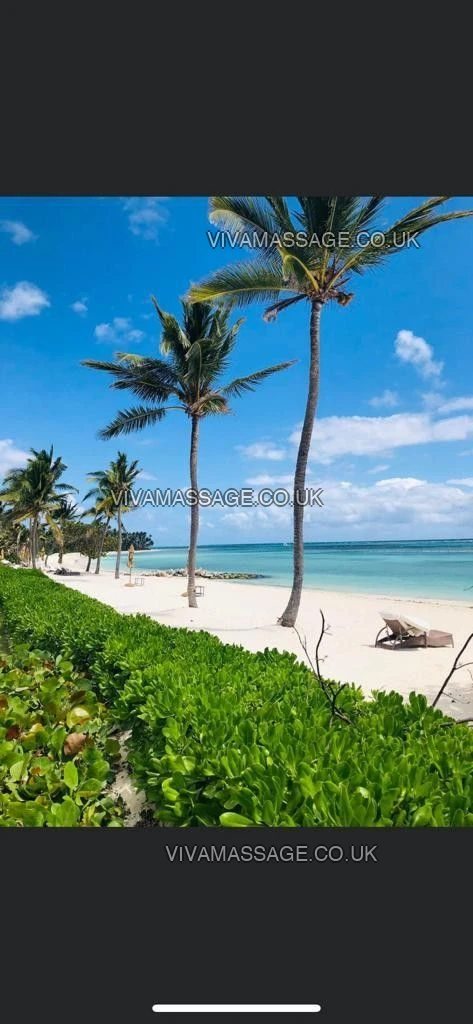 Photo 79 of MASSAGES LILLY