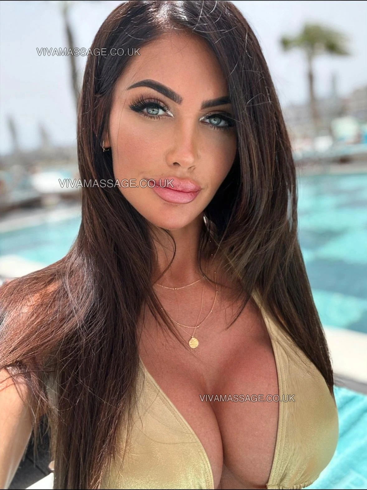 Photo 1 of English Vienna 