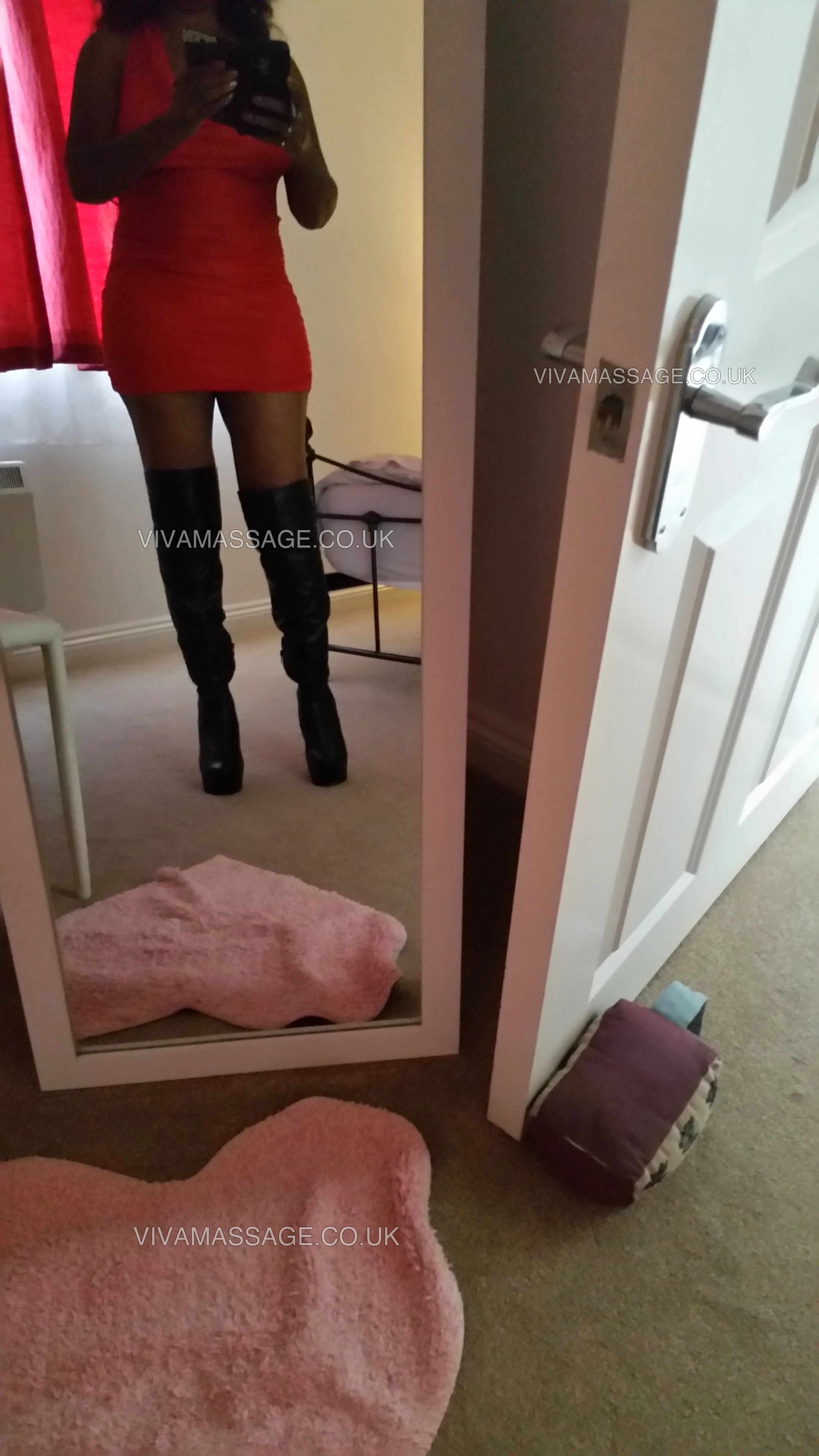 Photo 1 of tara black beauty 