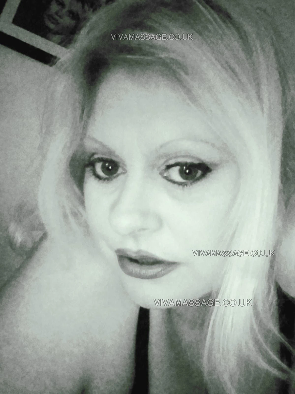 Photo 14 of Scandinavian mona