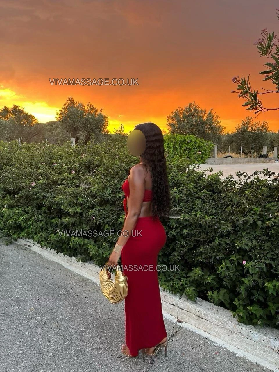 Photo 6 of Parisse_Rose