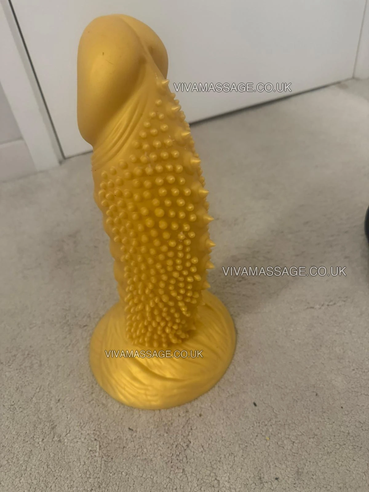 Photo 2 of LUXURY_ASHLEY