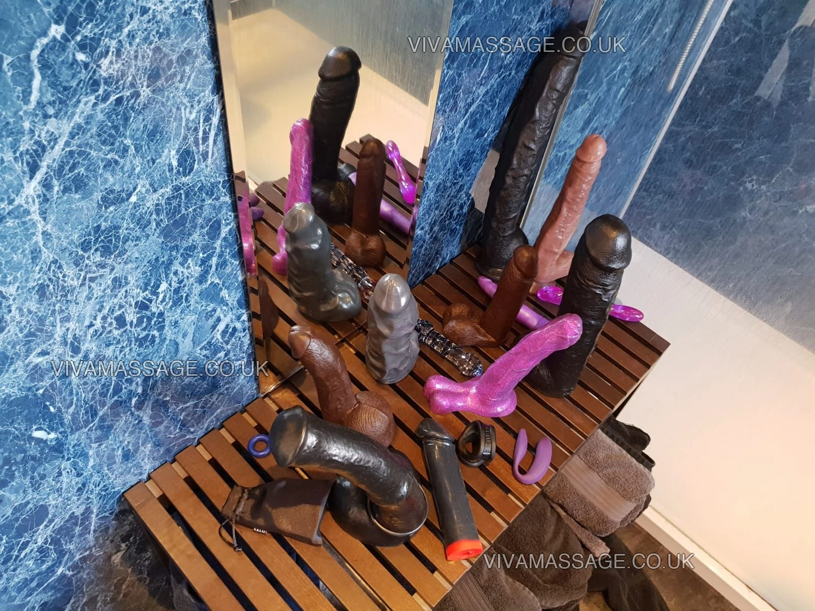 Photo 40 of Miss Hamilton