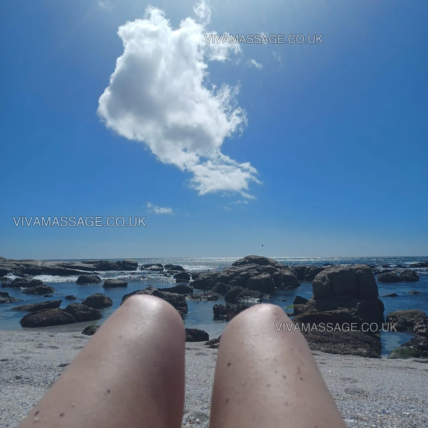 Photo 1 of RaquelVanZant