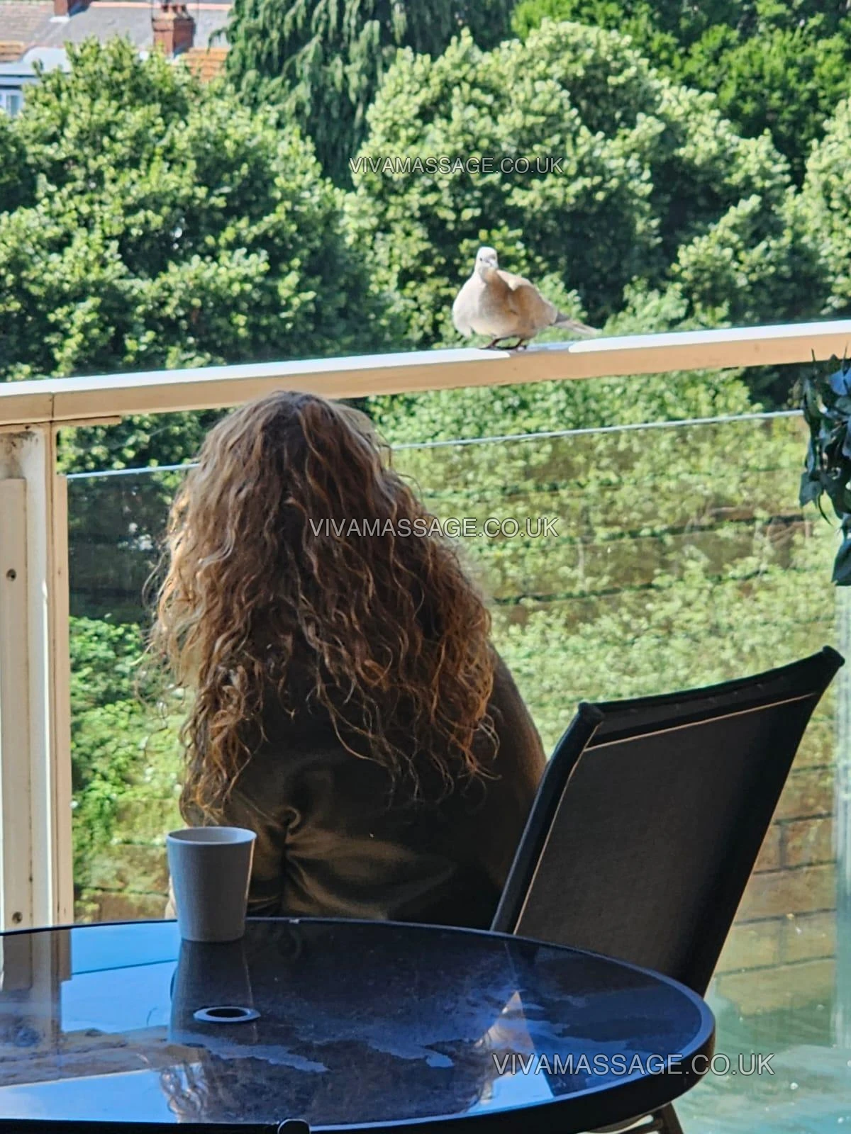 Photo 2 of RaquelVanZant