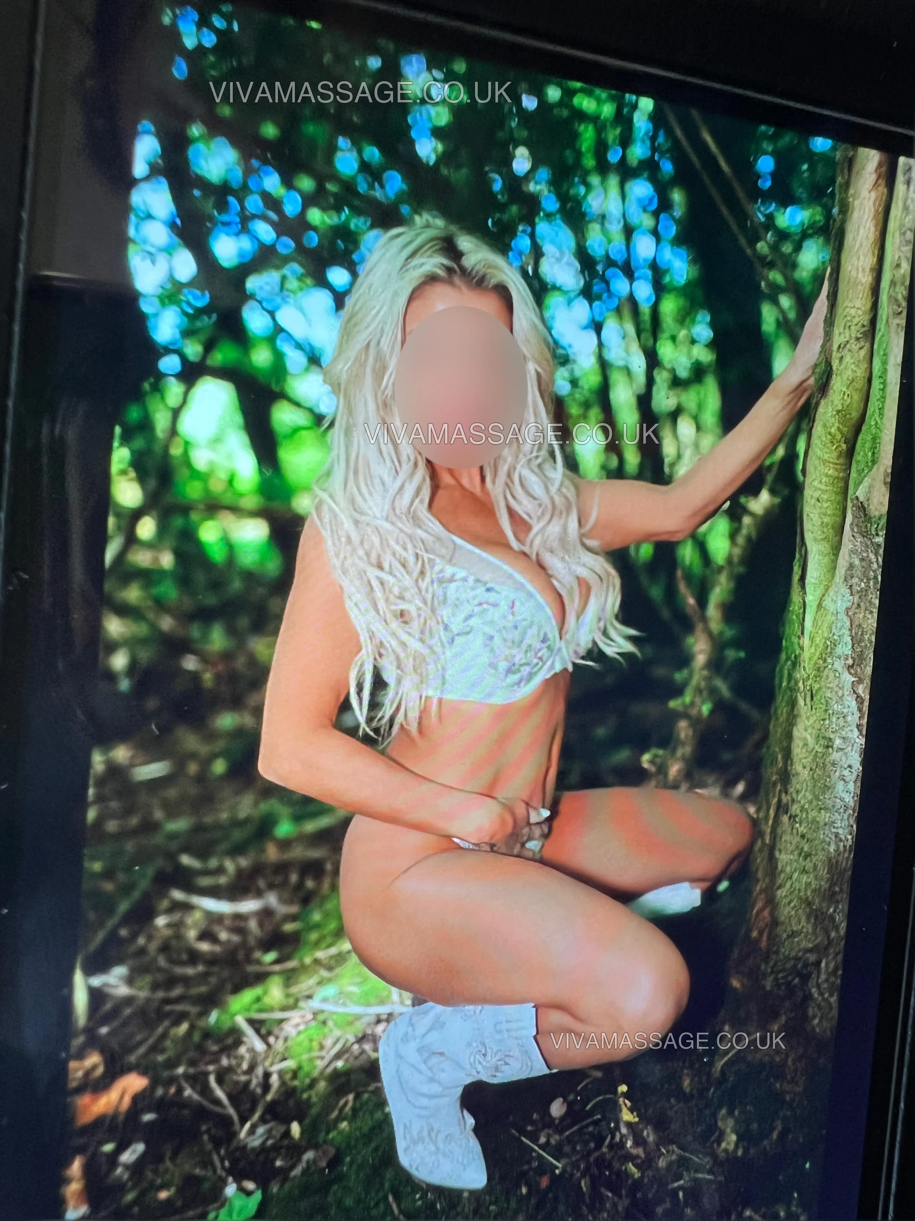 Photo 17 of Fabulous Fern