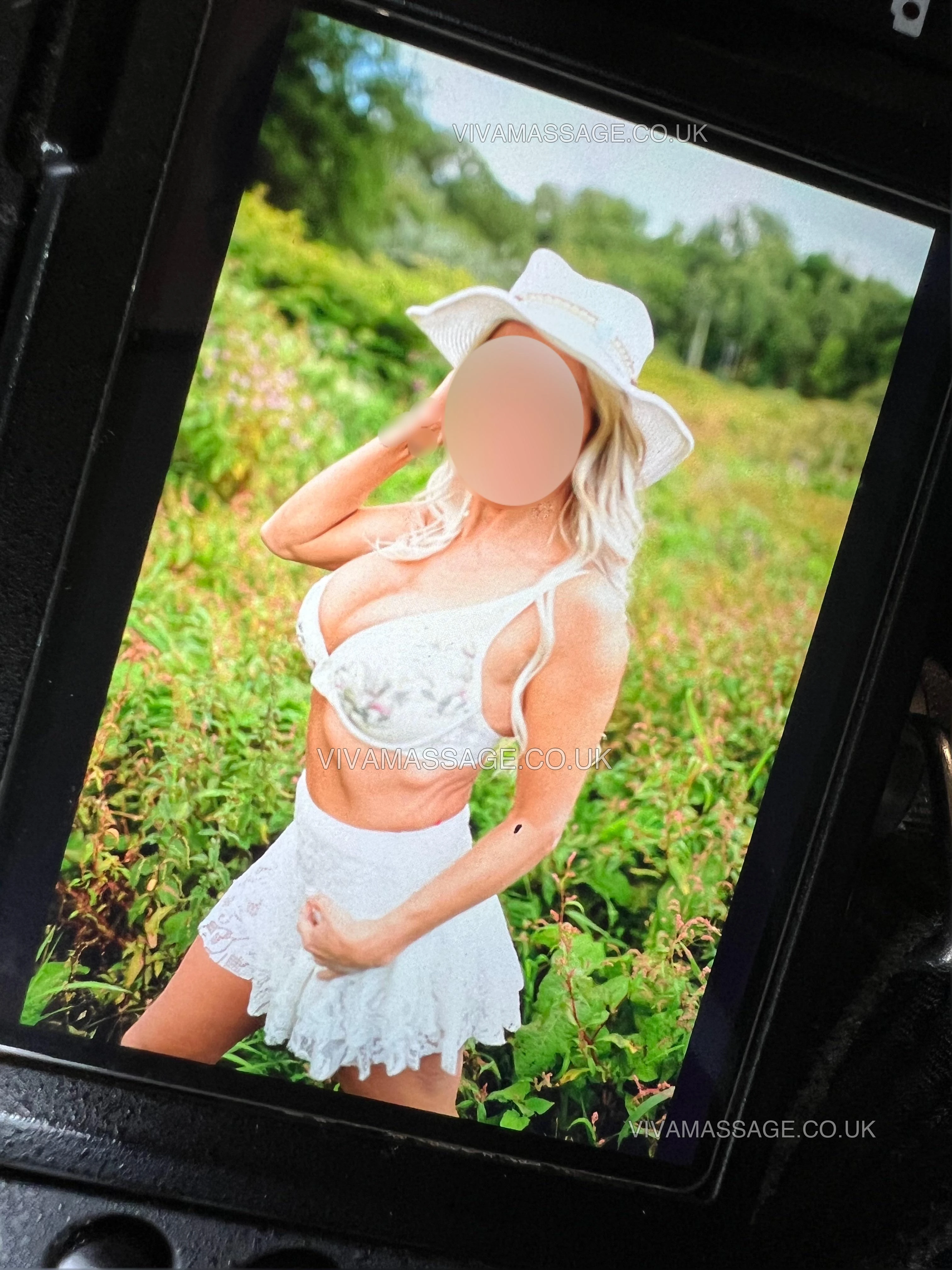 Photo 19 of Fabulous Fern