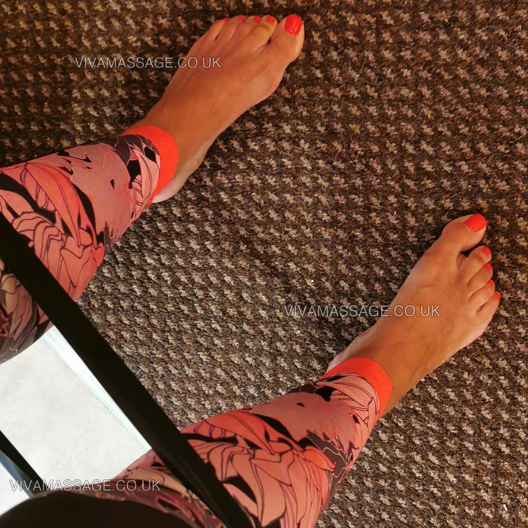 Photo 1 of Luna-paloma