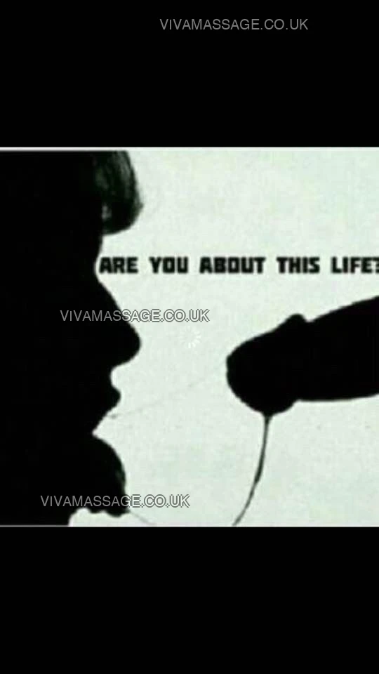 Photo 3 of Perfection 1479