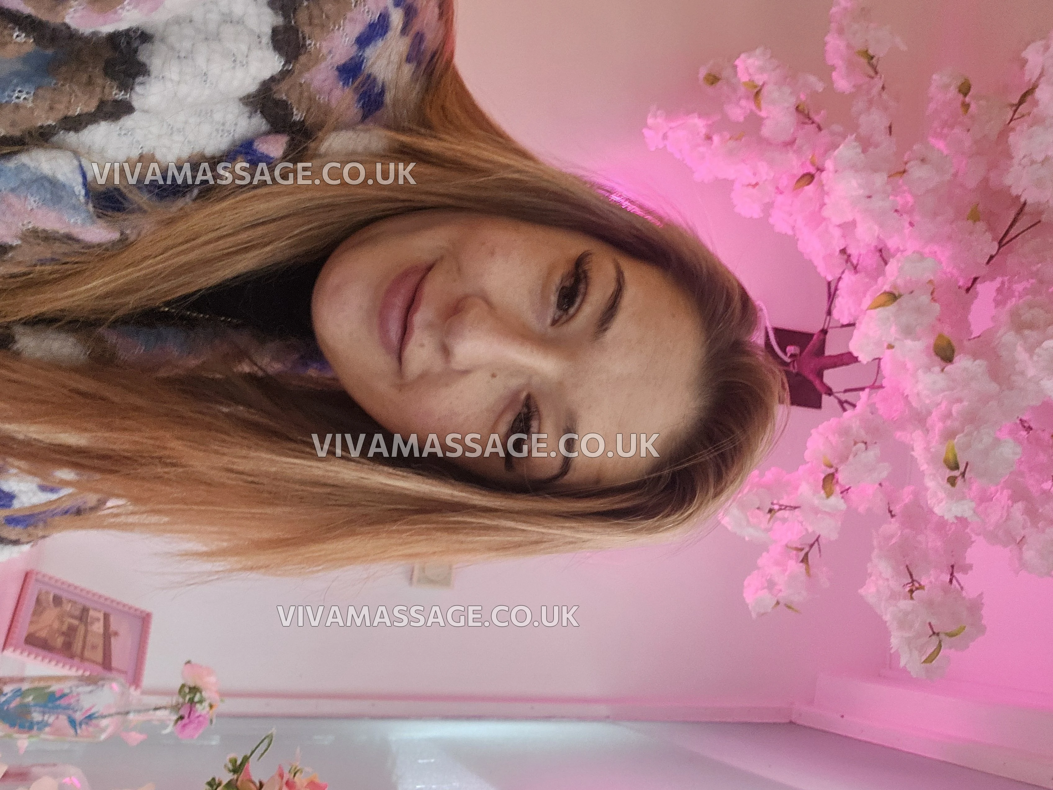 Photo 7 of millie moo