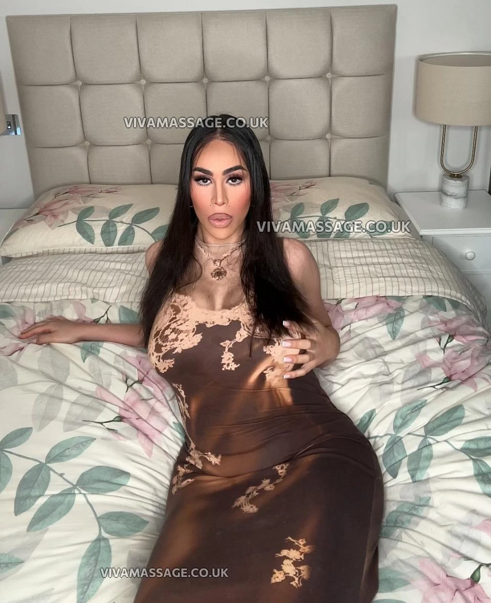 Photo 17 of Transquility