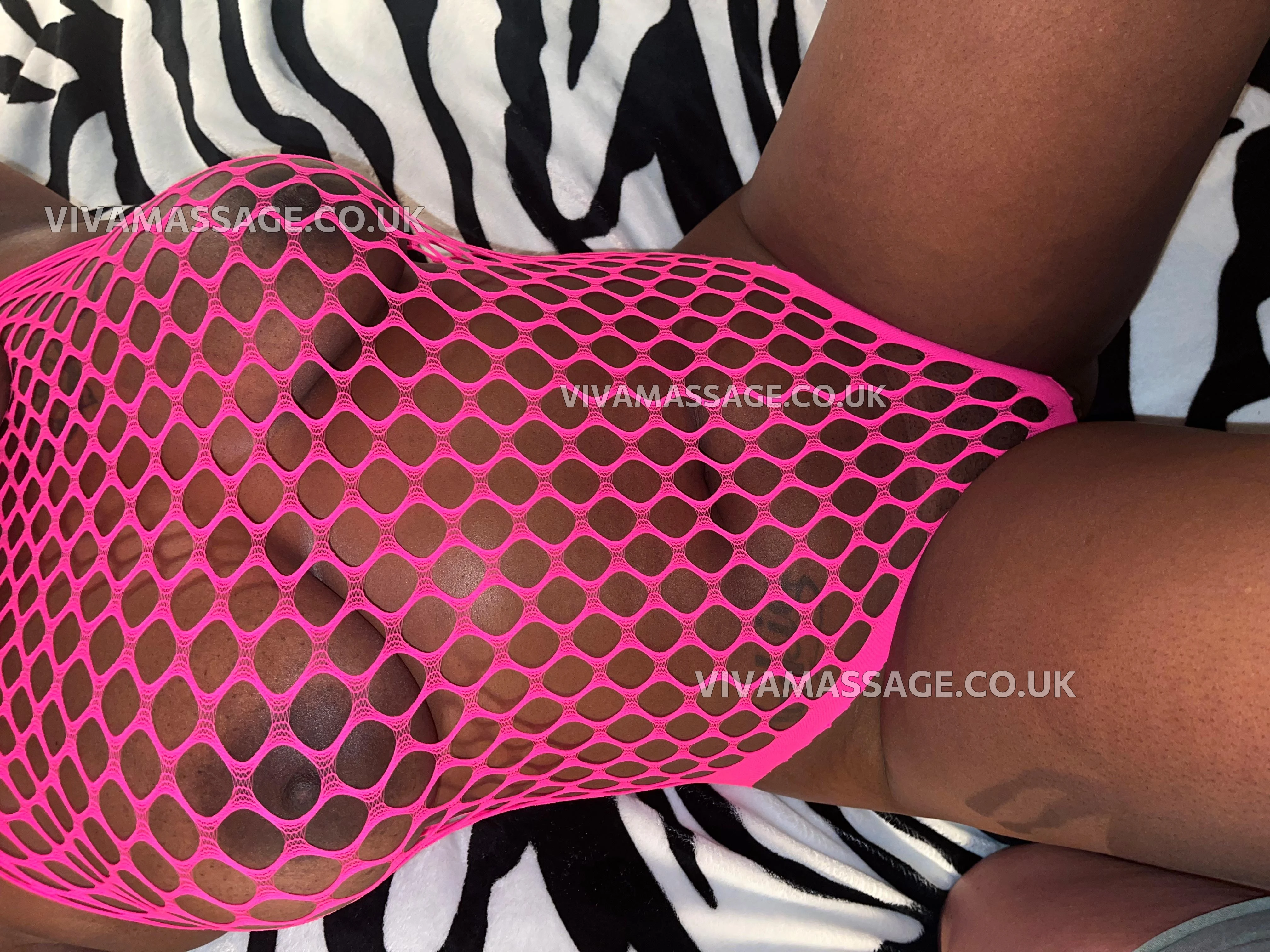 Photo 1 of ENGLISH BUSTY LIZZY 