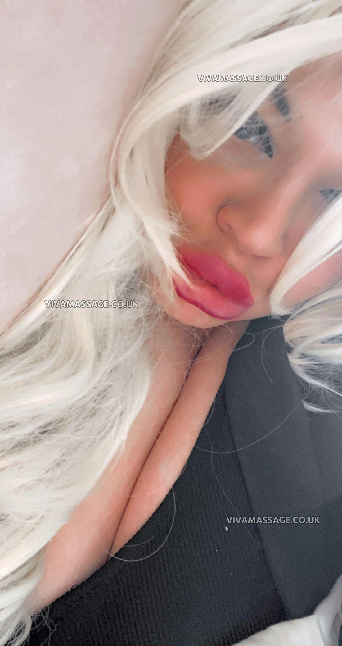 Photo 1 of PageTaylor_Rose90